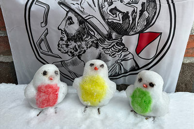 De drie kleine vogeltjes om mee af te sluiten! © SV Ajax