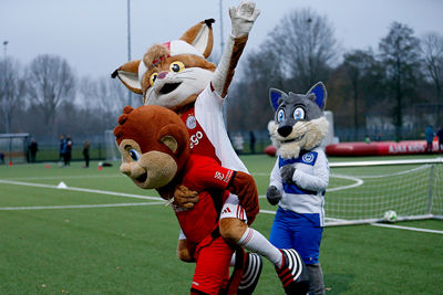 Lucky, BBoy en Ally vonden het geweldig! © De Brouwer