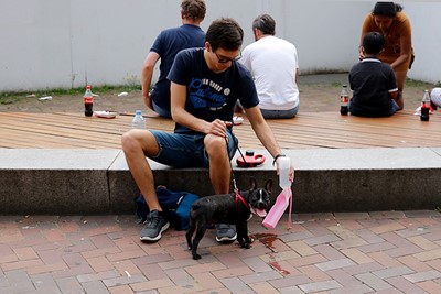 Ook deze hond drinkt uit een flesje zonder dop, prima conform voorschrift! © De Brouwer