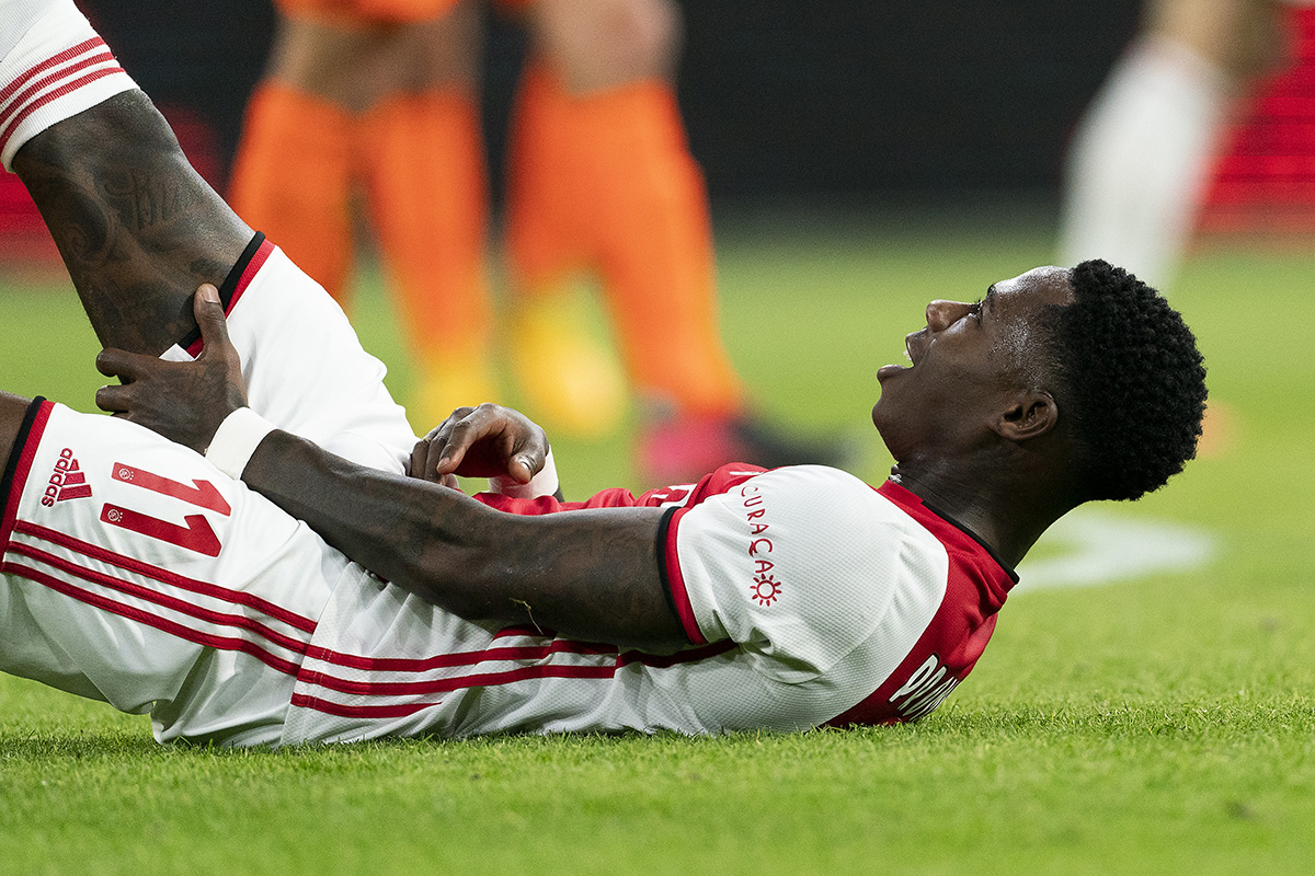 promesteveelblessacar