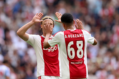 Een poeier van afstand vliegt schitterend binnen. © De Brouwer