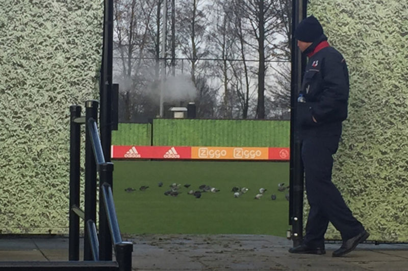 UsershyraDesktopajax_dataimagesf9e7d3782cc0bf2db013a98448e73800_normal