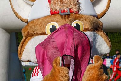 Hebben we een groter hesje voor Lucky? Hallo? © Pro Shots