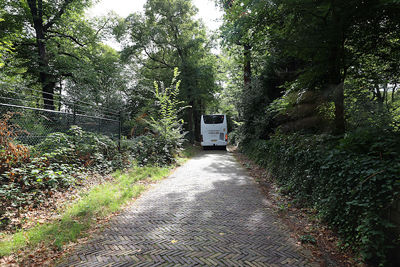 Welcome to the jungle. © De Brouwer
