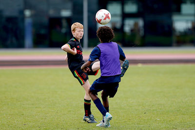 We zien volop hoogstandjes. © De Brouwer