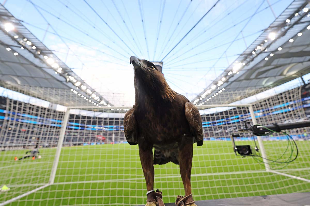 Drie Dingen 1200 (1)