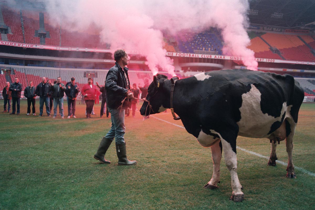 koe-1200.jpg?anchor=center&mode=crop&width=800&height=533&rnd=132733912291400000