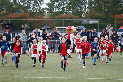 Een vrolijke chaos! © De Brouwer