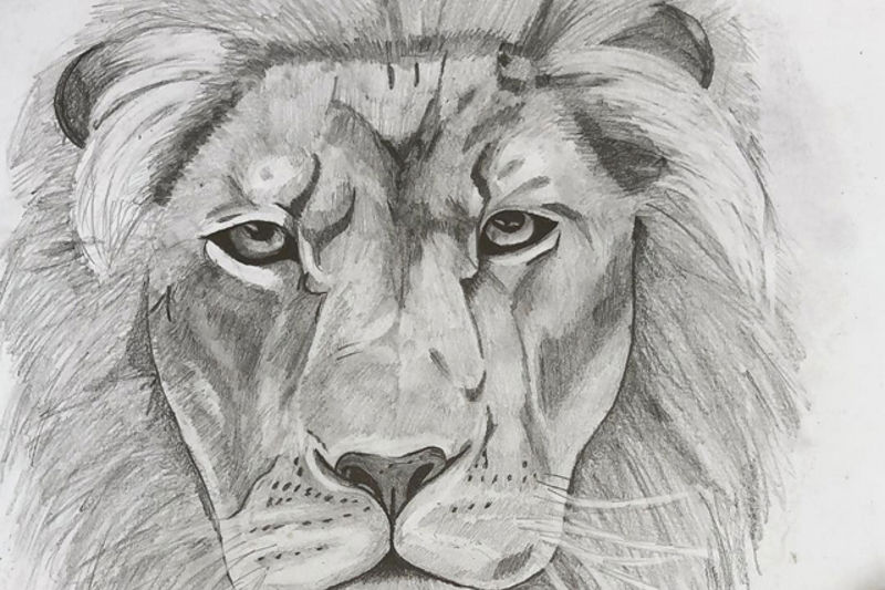 UsershyraDesktopajax_dataimages258b1797d4285ab1a16ed244a199599a_normal